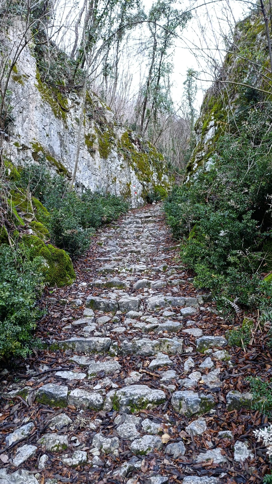 Col Moschin, strada di salita da Merlo