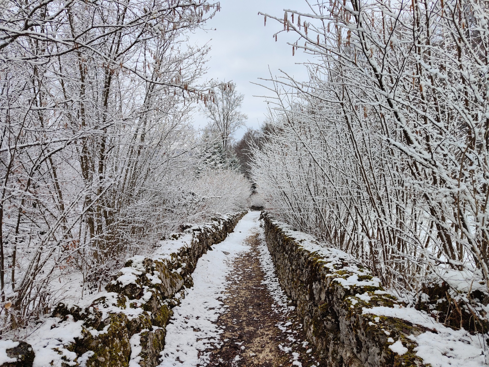 Lavarone-M. Cimone, lungo il percorso