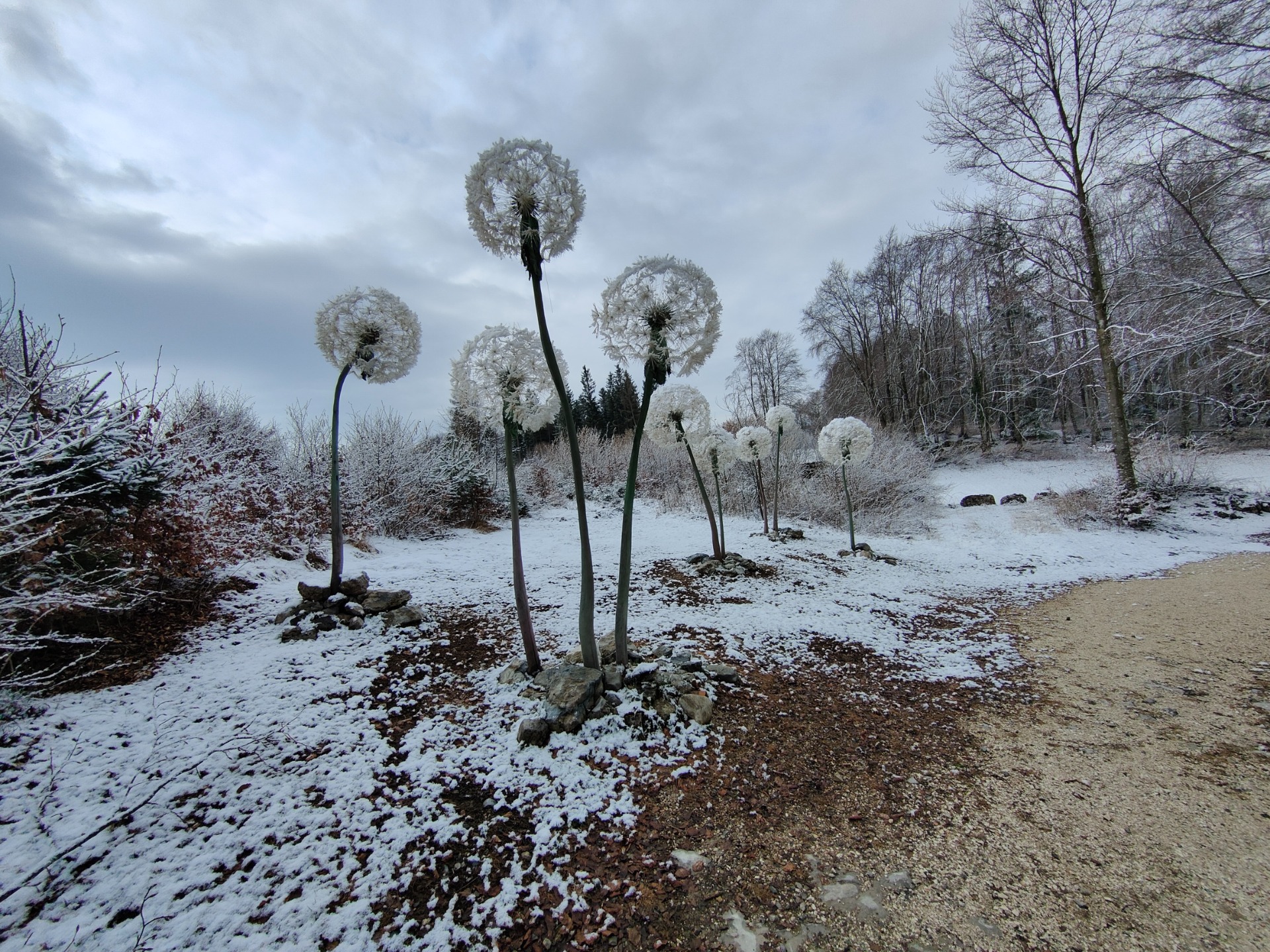 Lavarone-M. Cimone, lungo il percorso